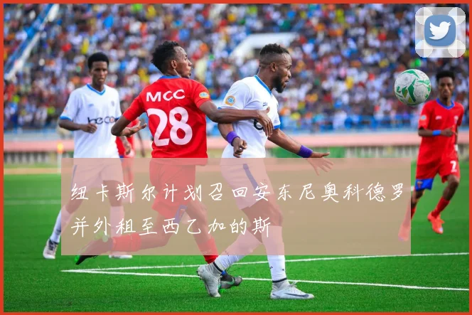纽卡斯尔计划召回安东尼奥科德罗并外租至西乙加的斯
